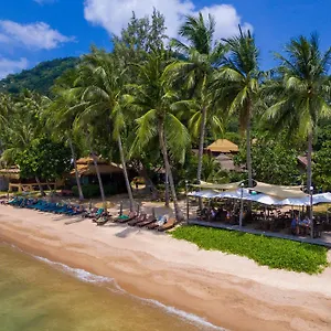 Resort Palm Leaf ***